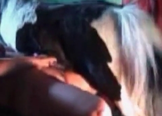 Amazing-looking MILF fucks a horse