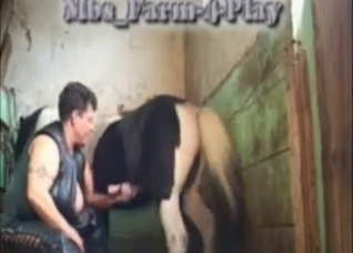 MILF jerking this pony's perfect boner