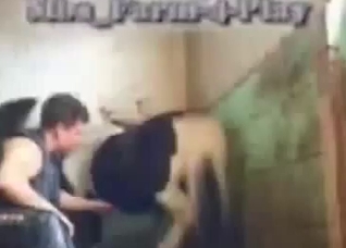 MILF jerking this pony's perfect boner