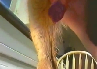 You get to see a beautiful cock up close