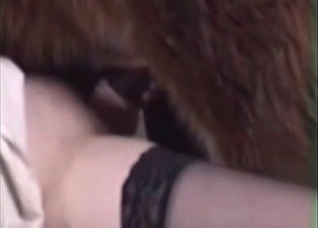 Teasing her clit with a horse cock