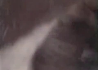 Teasing her clit with a horse cock