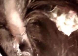 Extreme close-ups to get you off