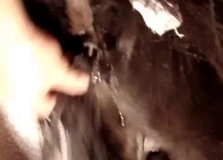 Extreme close-ups to get you off