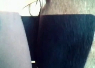 Close-up fucking with an animal cunt