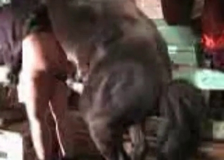 BBW is gonna get ruined by a horse