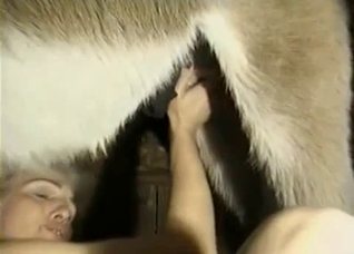 Amazingly tender and loving zoo sex