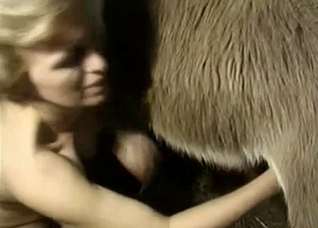 Amazingly tender and loving zoo sex