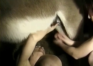Amazingly tender and loving zoo sex