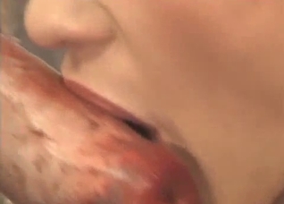 She worships dog's perfect cock here