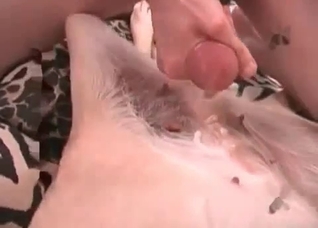 Extreme sex with a kinky animal