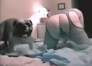 Chubby amateur and a chubby dog