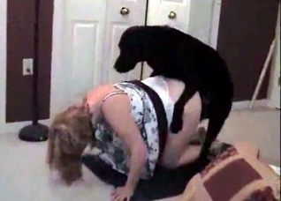 Very fat bitch bred by a very hung dog