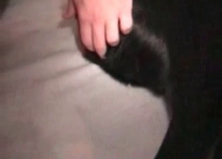 Good little doggie is gonna get fucked