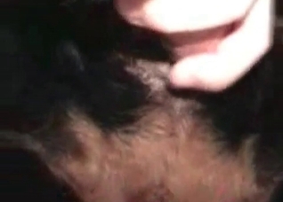 Good little doggie is gonna get fucked