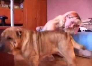 Extremely hot treatment for a kinky dog