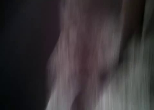 Brown horse getting gaped violently