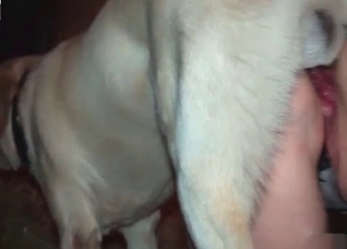 Dripping pussy drilled by a dog