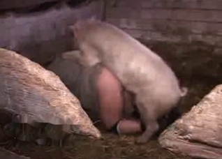Pig gets to fuck a very horny farmer