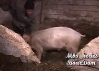 Pig gets to fuck a very horny farmer