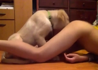 Perverse bestiality video with a dog