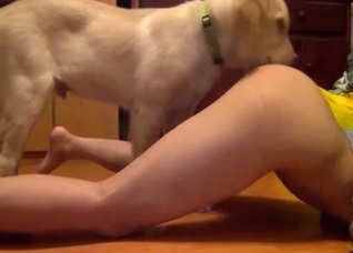 Perverse bestiality video with a dog
