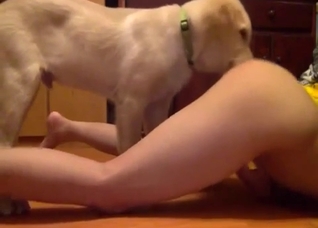Perverse bestiality video with a dog