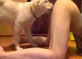 Perverse bestiality video with a dog