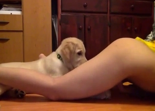Perverse bestiality video with a dog