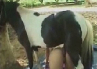 Short-haired slavegirl fucking a horse