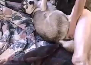 Dude fucking his loving bitch on a bed