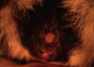Close-ups that will blow your mind