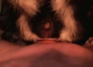 Close-ups that will blow your mind