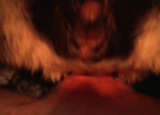 Close-ups that will blow your mind