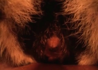 Close-ups that will blow your mind