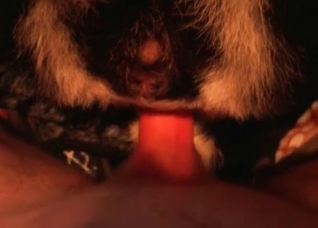 Close-ups that will blow your mind