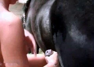 Amazing stallion is about to get brutally fucked