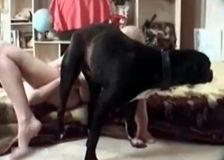Sexy black dog seduced by the owner