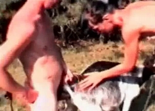 Little doggy is fucked in this video from behind