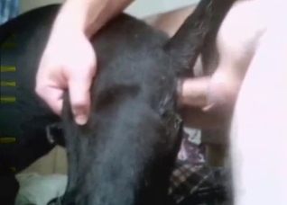 Doggy sucking his dick with passion