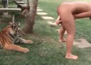 Brave slut masturbates in front tiger