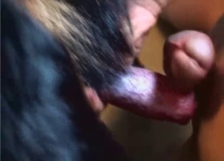 Extreme close-up action with a dog