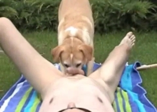 POV affair with a rimjob and a dog