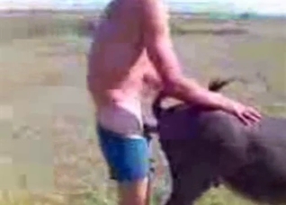 Dude fucks a horny animal outdoors