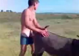 Dude fucks a horny animal outdoors