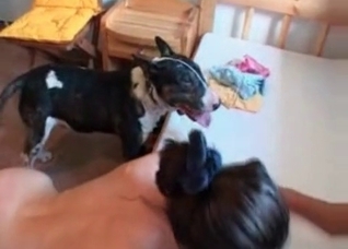 Enjoyable threesome with a dog