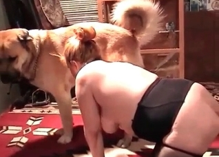Bedroom kinky action with a dog