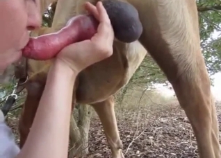 Playful doll likes nasty bestiality oral sex