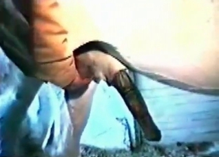 Big-dicked horse loves handjobs