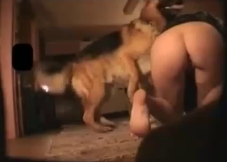 Irresistible wife is gulping a nice hound's penis for cam
